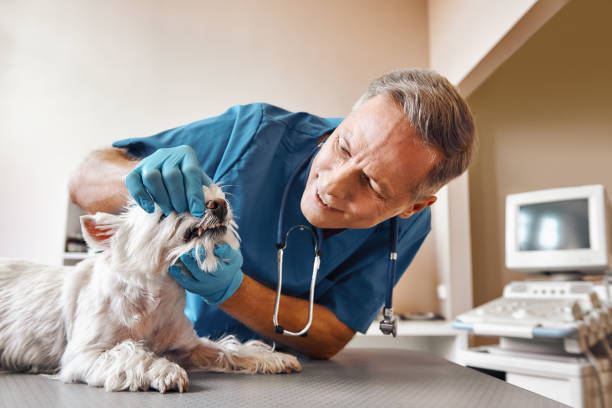 Best Walk-In Emergency Dentist in Lead, SD